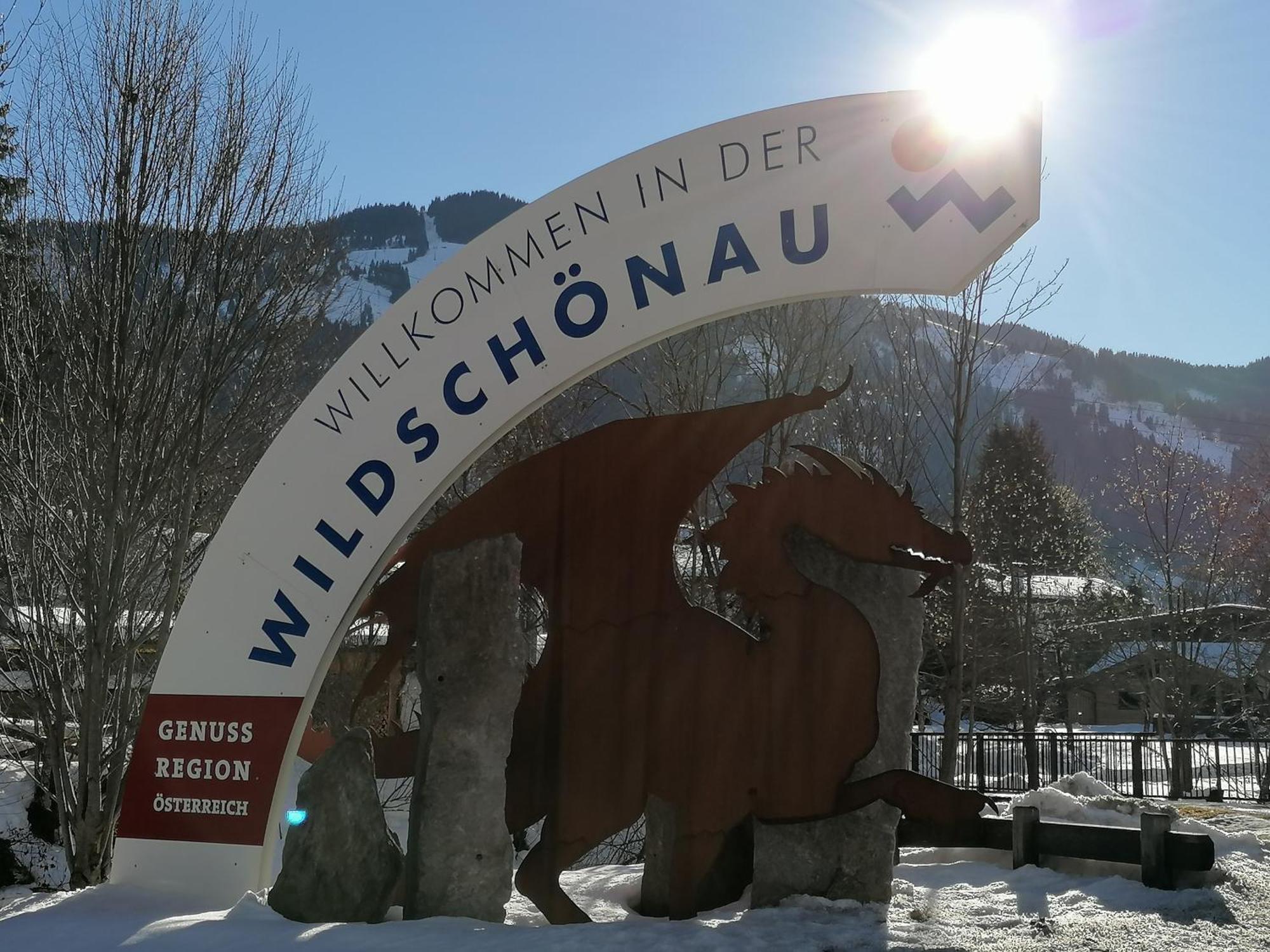 Ferienwohnung Sonnhangblick Von Fewo-Plan Wild015 نيديراو المظهر الخارجي الصورة